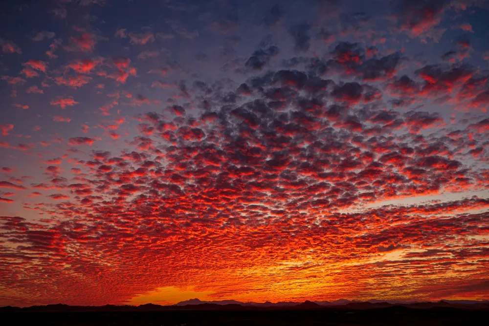 A sky filled with small altocumulus clouds lit deep red and orange at sunset, above a dark line of distant mountains.